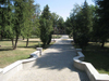park