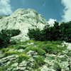 velebit